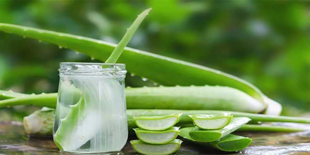 How Aloe vera is beneficial for health