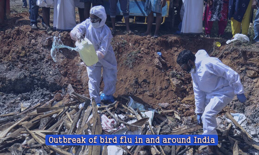 Outbreak of bird flu in and around India